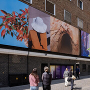 Lisa Barnard, The canary and the hammer, exhibition view. Courtesy of The Photographers' Gallery