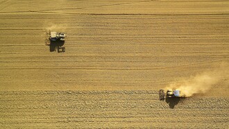 Gene editing with CRISPR-Cas9 used to improve the production of crops