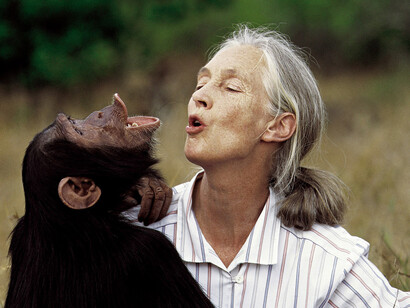 Evolución. La Primatóloga Jane Goodall