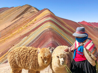 Alpacas en la montaña de siete colores, Vinicunca, Perú