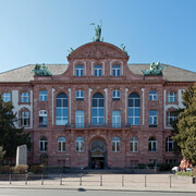 Senckenberg Naturmuseum