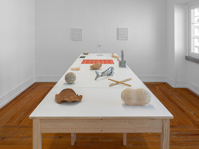 Elizabeth Atterbury, Language-like, exhibition view. Courtesy of Document Gallery