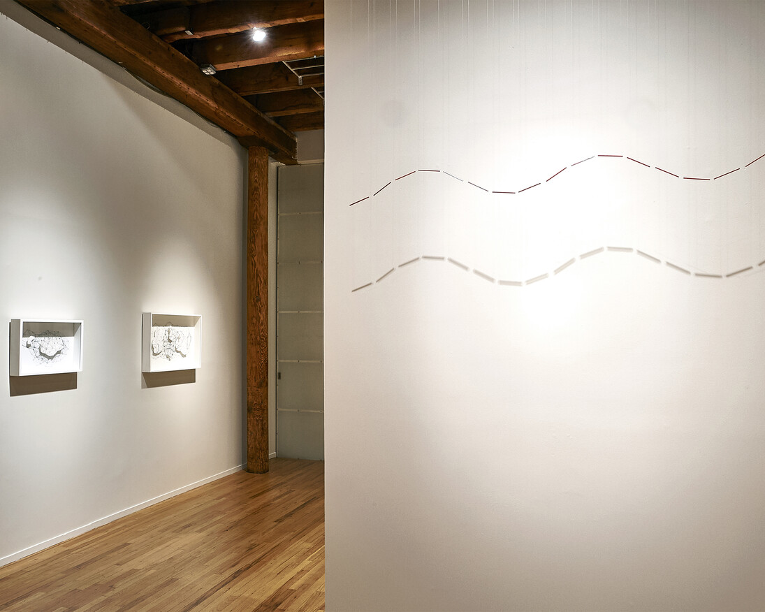 Expanding the Line, Exhibition view. Photography by Arturo Sanchez. Courtesy of Cecilia de Torres, Ltd.