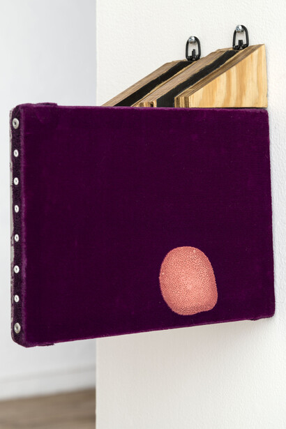 Kevin Mack, The Lone Caviar, 2013, Plywood, aluminum, velvet, latex, 12” x 12” x 5.5”
