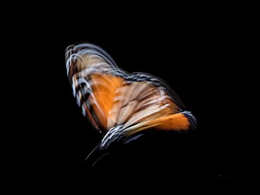 L’evoluzione tecnologica e l’intelligenza artificiale rendono necessario assumere un ruolo attivo nel proprio futuro professionale, invece di limitarsi ad aspettare che gli eventi accadano