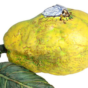 Flora, Fauna and Fable. Courtesy of Schloss Köpenick