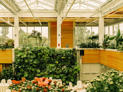 Plantes et nature. Ces dernières années, les plantes sont devenues tendance dans nos intérieurs et dans nos jardins, les rayons des jardineries et des commerces en ligne 