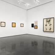 Carol Rama, The tongue, the eye, the foot, exhibition view. Courtesy of Aspen Art Museum