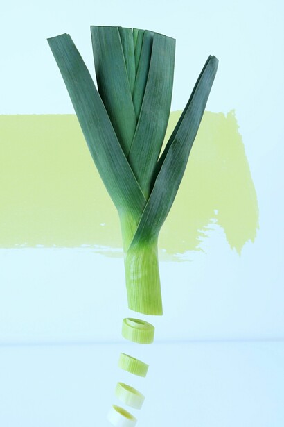 Capitalismo carnívoro