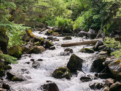 Qual seria o seu grau de conexão com a natureza? Como entrar em contato com o nosso xamã interior é uma pergunta genuína