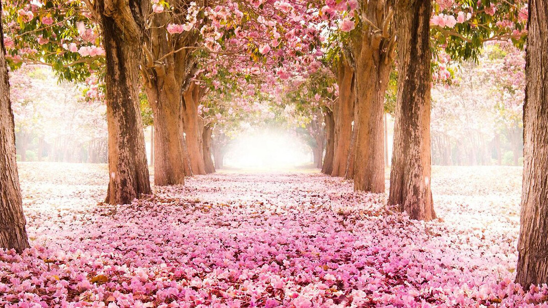 Una teoria primaverile