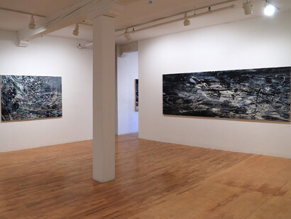 Yoon Lee, "New Work," Installation View. Courtesy the artist and Pierogi Gallery
