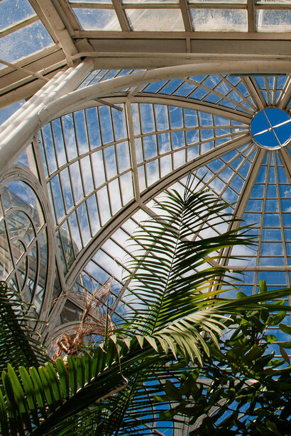 Curitiba, a capital mais sustentável do Brasil, encanta com seus parques, praças e uma rica oferta cultural e gastronômica
