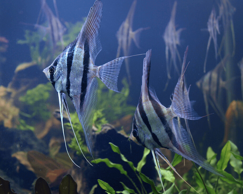 Colombia, país de agua. Courtesy of Parque Explora