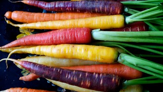 I mille colori della Carota