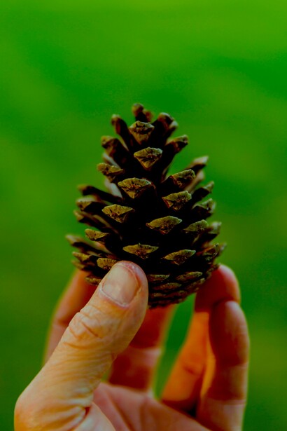 Nuevas formas de apropiarse de la tierra