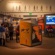 Human Odyssey. Courtesy of California Academy of Sciences