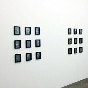 Battle for Cultivation, Exhibition view. Courtesy of Envoy Entreprises