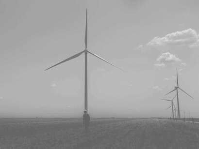 Industrial wind turbines kill bats, which can decrease crop yields © Lucas Newton