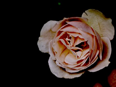 La tierra, ese tesoro