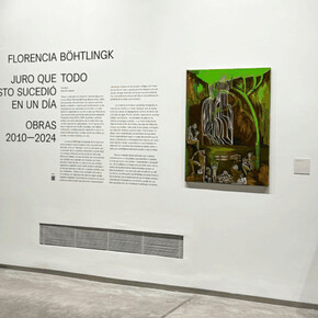 Florencia Böhtlingk, Juro que todo esto sucedió en un día, vista de exhibición. Cortesía de Galería Hache
