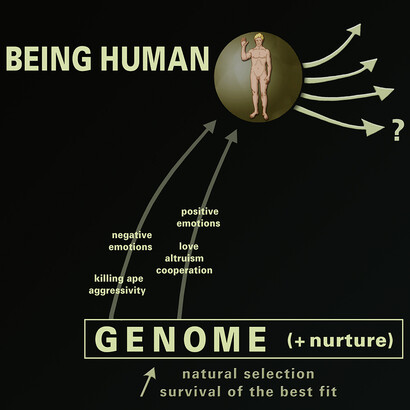 A very schematic representation of two genetic determinants of our human nature.