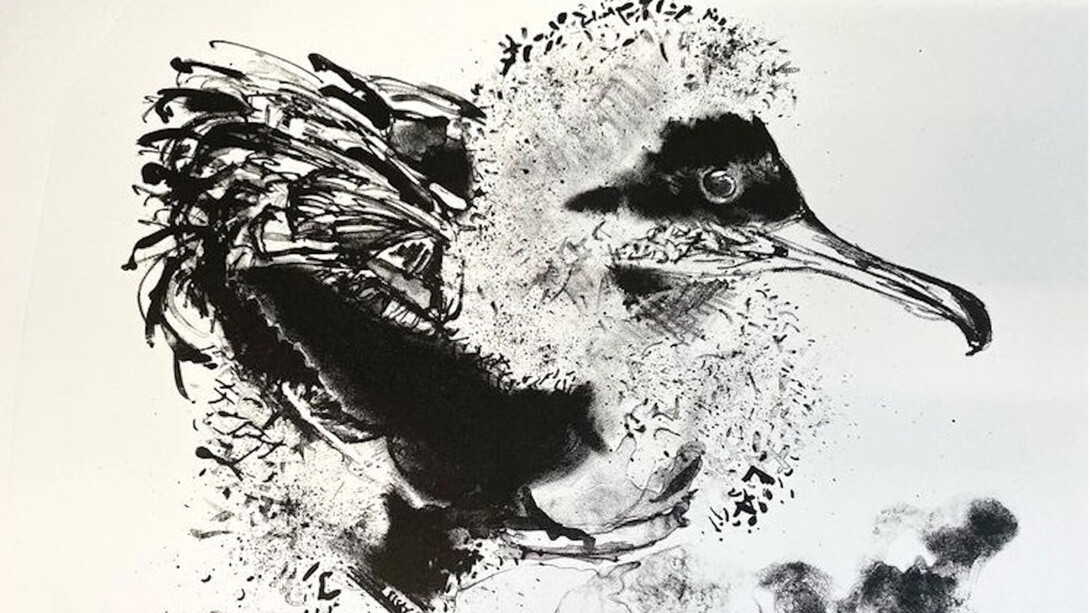 Works on paper, artwork in exhibition. Courtesy of Salamanca Arts Centre