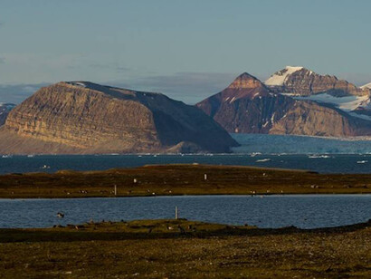 La tundra costituisce una parte quasi totale della porzione più a Nord del territorio russo e siberiano