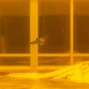 Dora Budor. Courtesy of Kunsthalle Basel