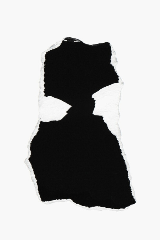 Bettina von Zwehl. Courtesy of Purdy Hicks Gallery