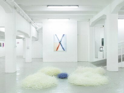 Thin three-dimensionality / Sottile tridimensionalità, Hiva Alizadeh | Guillaume Linard-Osorio | Michelangelo Penso. Installation view @ The Flat – Massimo Carasi, Milan Michelangelo Penso - Hiva Alizadeh
