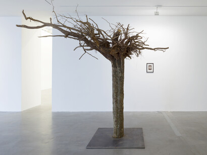 Kris Martin, Exhibition view .Courtesy of VNH Gallery