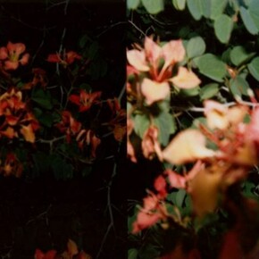 Adam Broomberg and Oliver Chanarin, The Polaroid Revolutionary Workers Movement, 2013
© the artists (2013), courtesy the artists