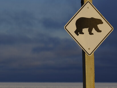 Segnale di presenza dell'orso polare a Churchill, Manitoba