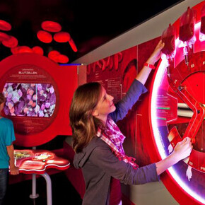 Journey into the Human Body. Courtesy of Haus der Natur 