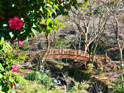 Zanka (gradual beauty) Bridge, Atami Plum Garden, Shizuoka, Japan © Alma Reyes