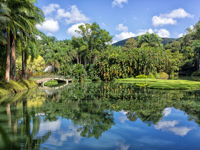 O Jardim Botânico do museu e instituto Inhotim, localizado em Brumadinho, Minas Gerais, Brasil, está entre os ricos biomas da Mata Atlântica e do Cerrado