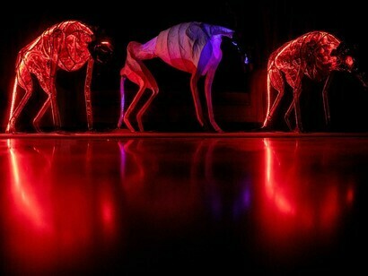 Jacopo Mandich, Jackal Project. Credit Manuela Giusto. Courtesy of Faber art gallery
