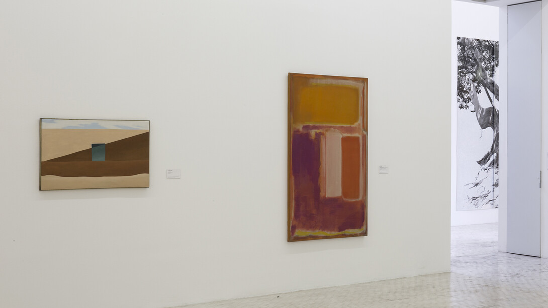 Colección Museo Tamayo. Courtesy of Museo Tamayo