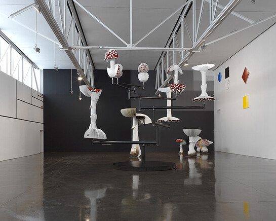 Artwork © Carsten Höller. Photography by Rob McKeever. Courtesy Gagosian.
