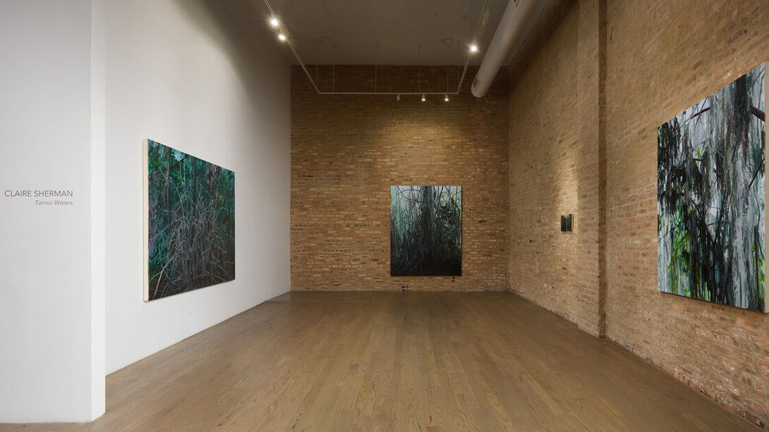 Claire Sherman, Tannic waters, exhibition view. Courtesy of Patron