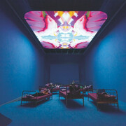 Pipilotti Rist, Kunsthalle Krems, Krems/AT, 2015, Photo: Lisa Rastl. Courtesy the artist, Hauser & Wirth and Luhring Augustine