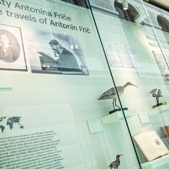 Expedition of the National Museum, exhibition view. Courtesy of Historical Building of the National Museum