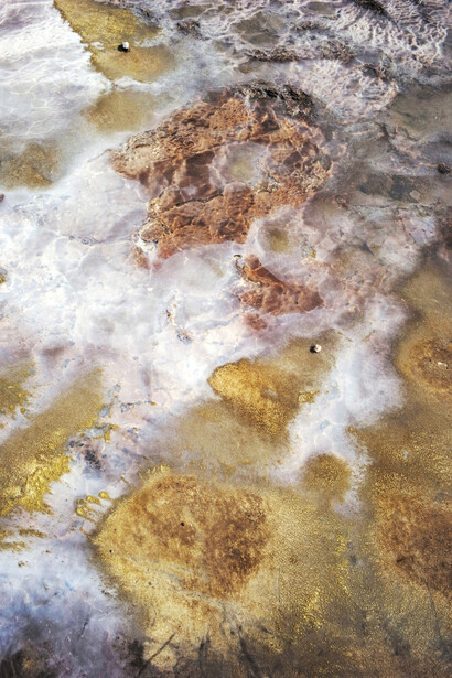 Jitka Hanzlová, Ur #1, 2018 (from the series WATER 2013-2019), chromogenic print, 22 13/16x16 15/16 inches. Courtesy of the artist and Yancey Richardson Gallery, New York