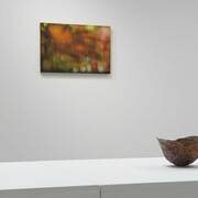 Takuro Someya Contemporary Art