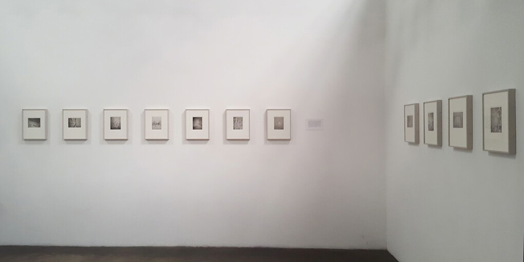 The Topography of Tears. Courtesy of Craig Krull Gallery 