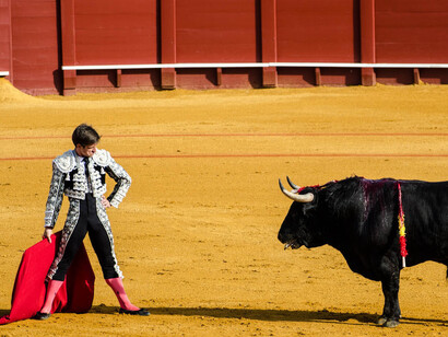 Esperando al morlaco