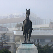 Lachezar Boyadjiev, On vacation...corpus equorum, exhibition view. Courtesy of National Gallery