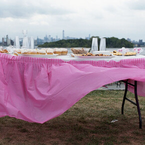 Susannah Ray: A Further Shore. Courtesy of Bronx Museum of the Arts 