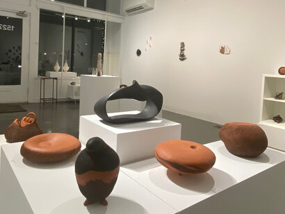Pinar Aral and Mirentxu Ganzarain, Unearthing, exhibition view. Courtesy of SoNa Chicago Contemporary Art